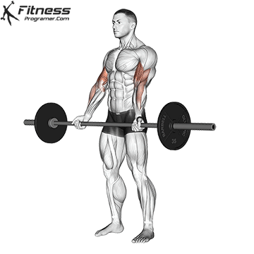 نمایش اجرای جلوبازو هالتر