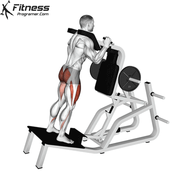 نمایش اجرای هاگ اسکوات